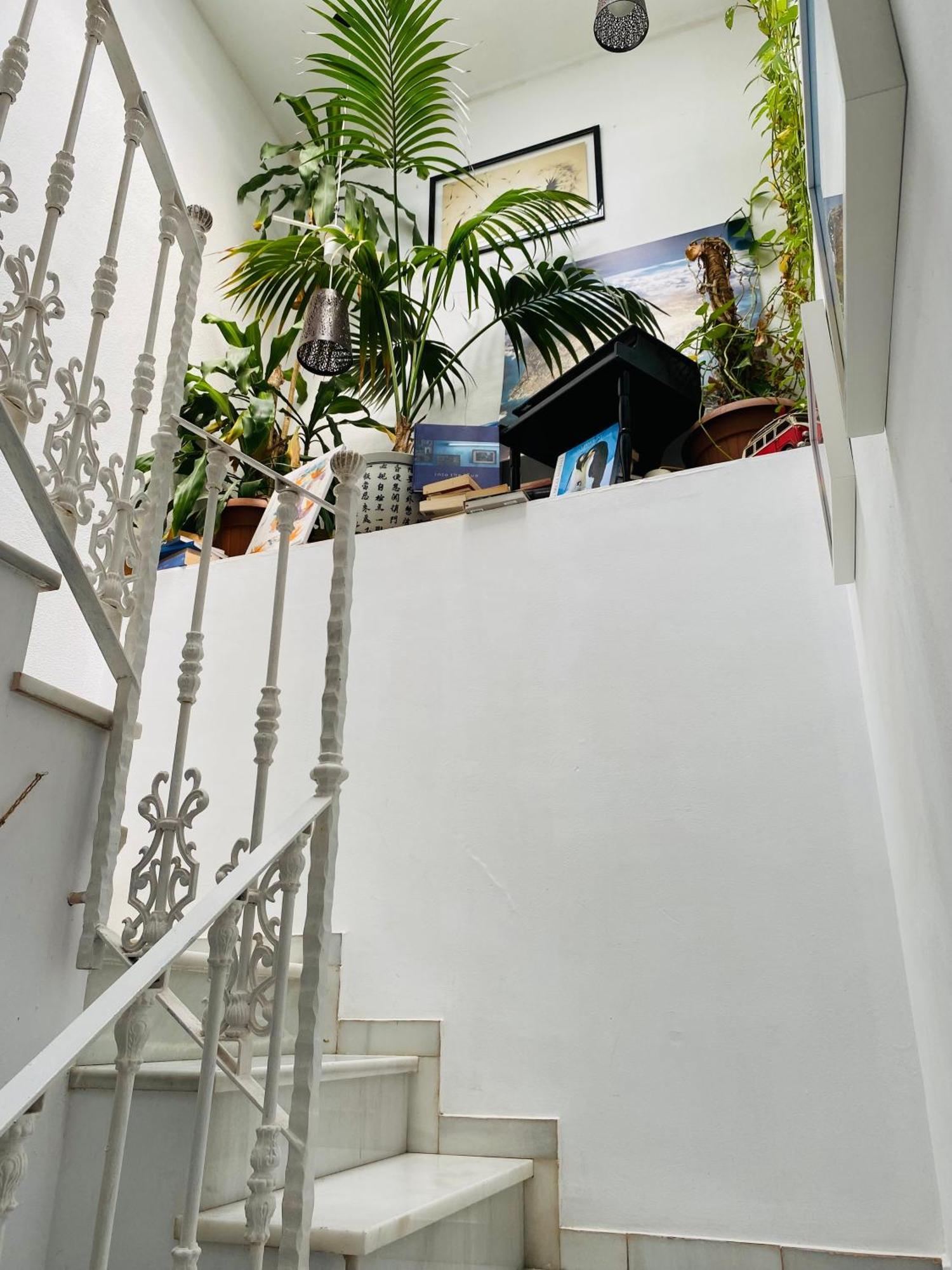 Atico Cadiz Suite Ngoại thất bức ảnh